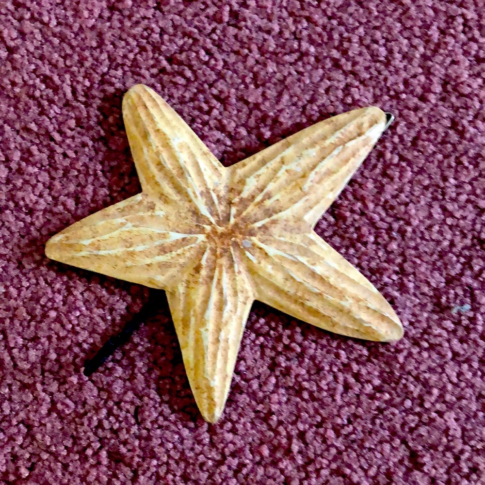 Sea Star Wall Coat Hook